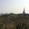 Тайский Экспресс.