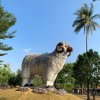 В мире животных — фотогалерея 03