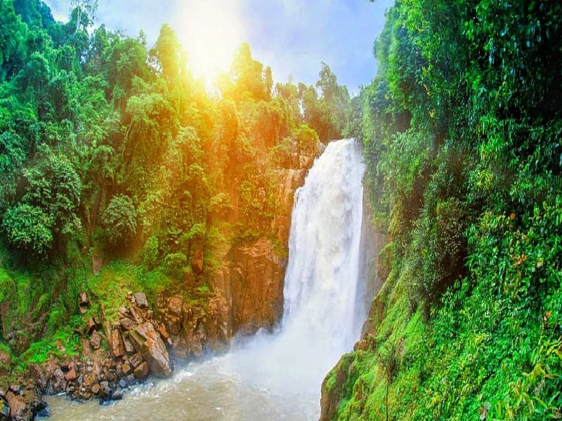 Джунгли зовут - 2. Ремейк: Кхао Яй + Экзотик парк Бонанза