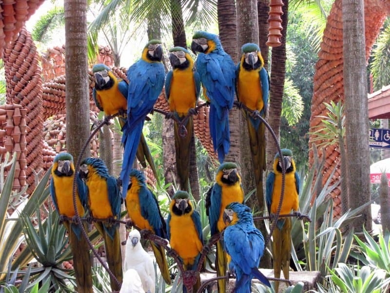 Экскурсия. Вечерний Нонг Нуч.