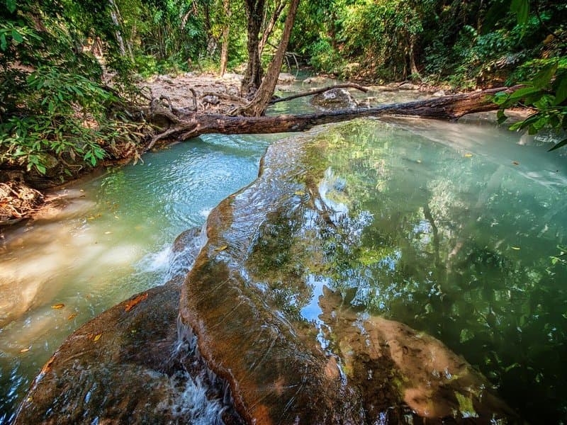 Новая экскурсия Natural Thailand, 1 день.