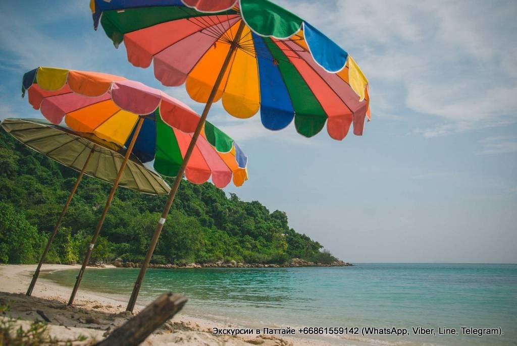 Морская экскурсия в Паттайе на скоростных катерах - "Одиссея".