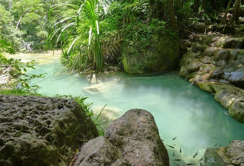 Таиланд. Новая экскурсия из Паттайи. Кхао Яй национальный парк.