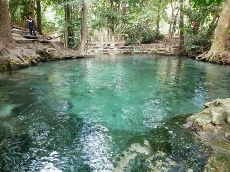 Экскурсия в Паттайе. Джунгли Зовут - 2. Ремейк: Кхао Яй и Экзотик Парк Бонанза.