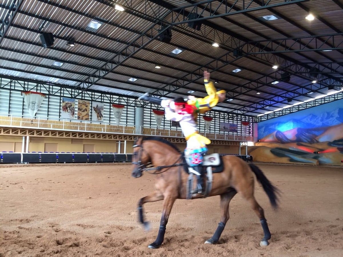 Новая услуга в Паттайе: бесплатный трансфер и билет на Ферму карликовых пони «Pipo Pony Club».