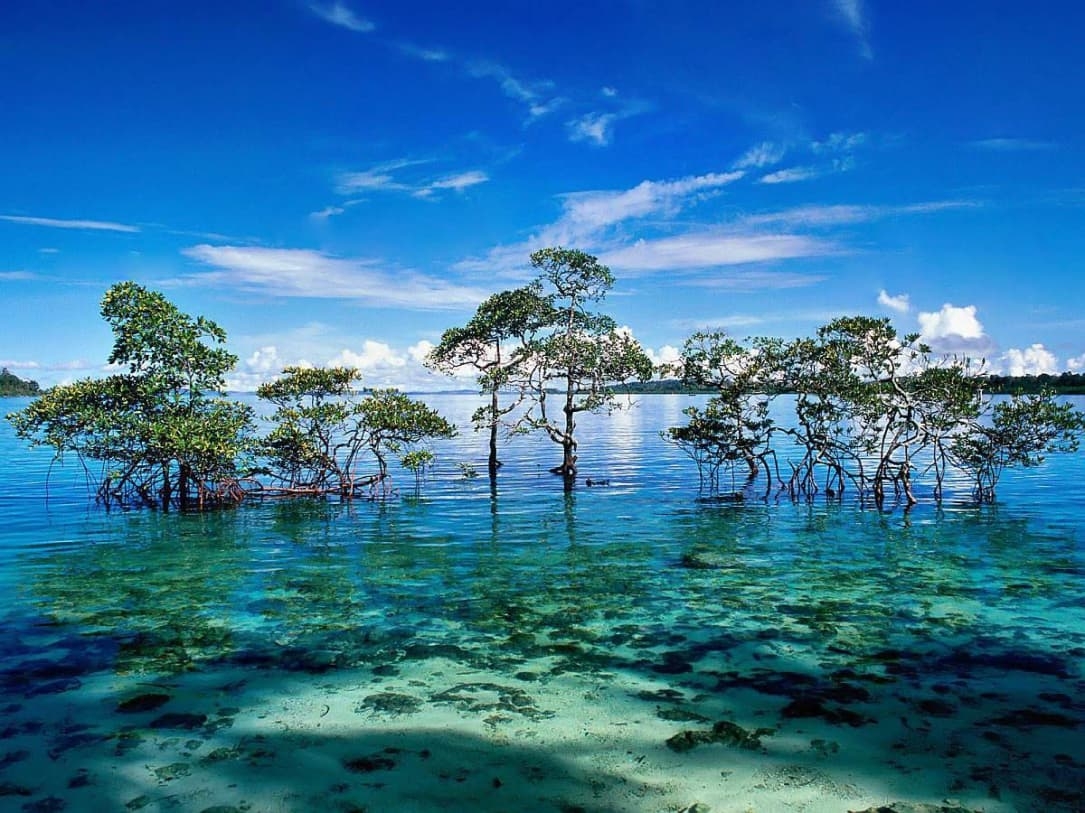 Экскурсия на остров Ко Чанг (Премиум), с гидом.