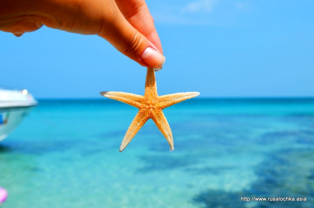 Таиланд. Морская экскурсия в Паттайе - Морское Сафари.