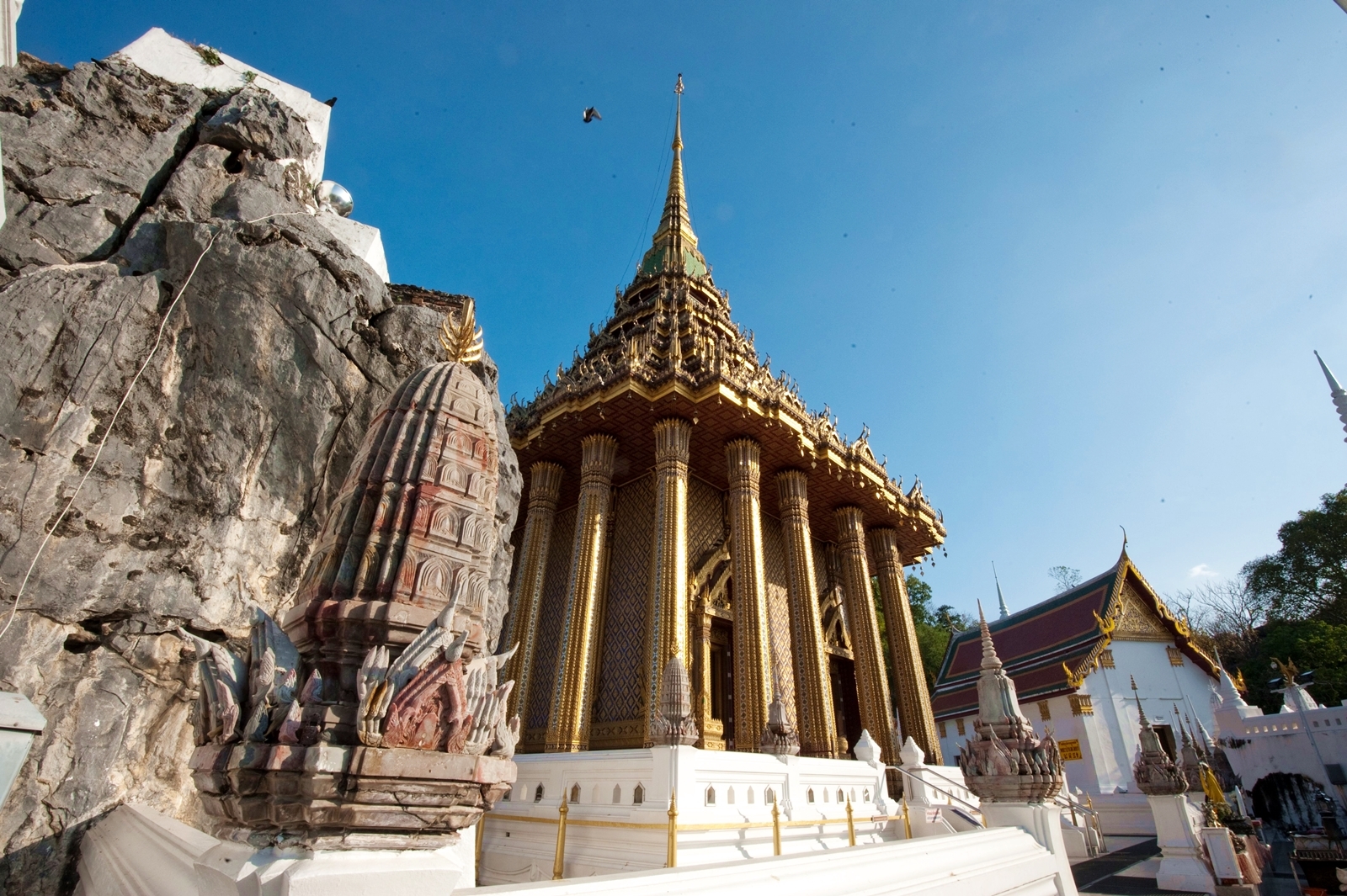 Сила жизни