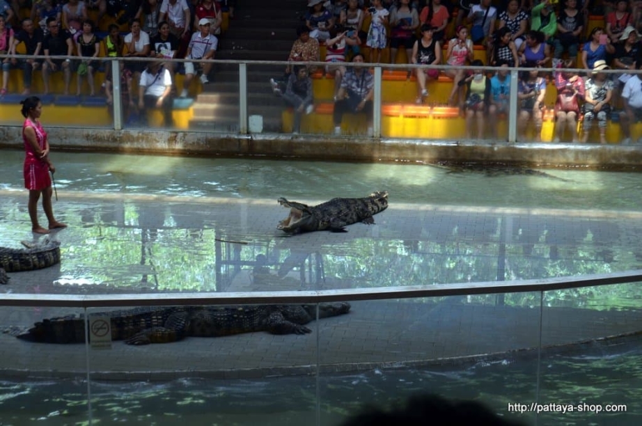 tigrovyy zoopark ekskursiya v pattaye34